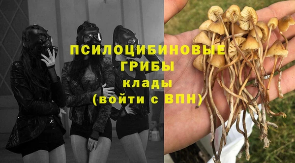 твердый Бронницы